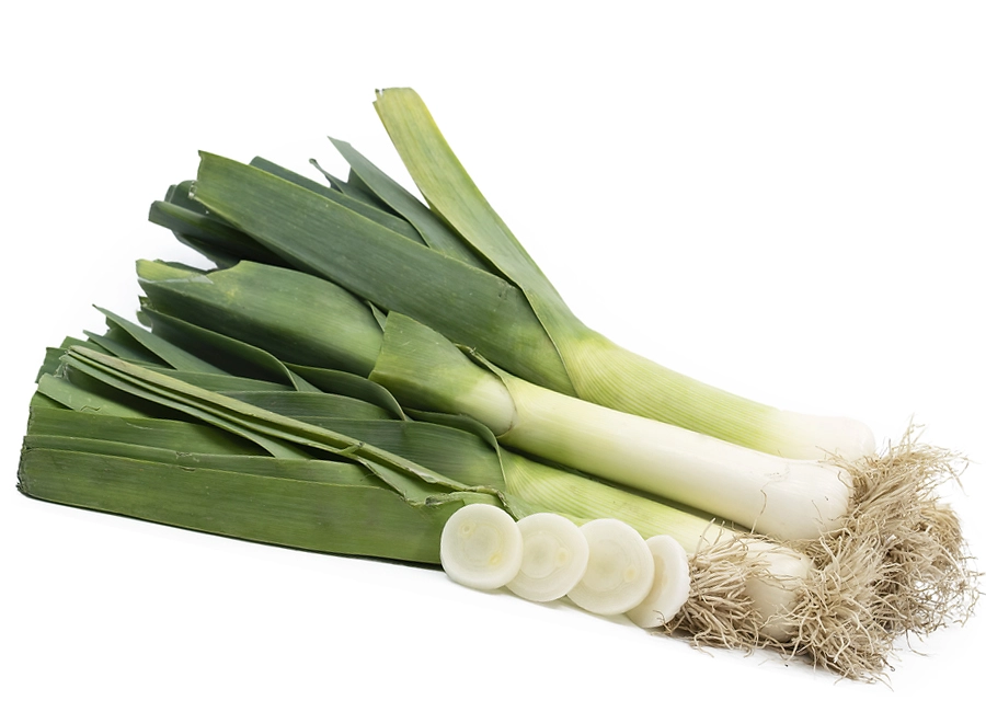 Leeks fresh quality product supplier Maldives