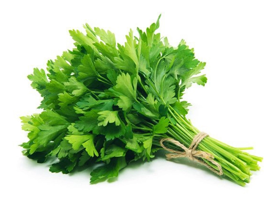 Parsley fresh quality product supplier Maldives