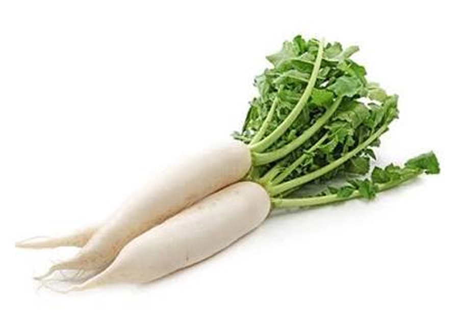 Radish fresh quality product supplier Maldives