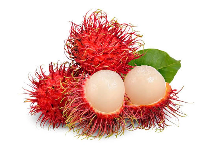 Rambutan fresh quality product supplier Maldives