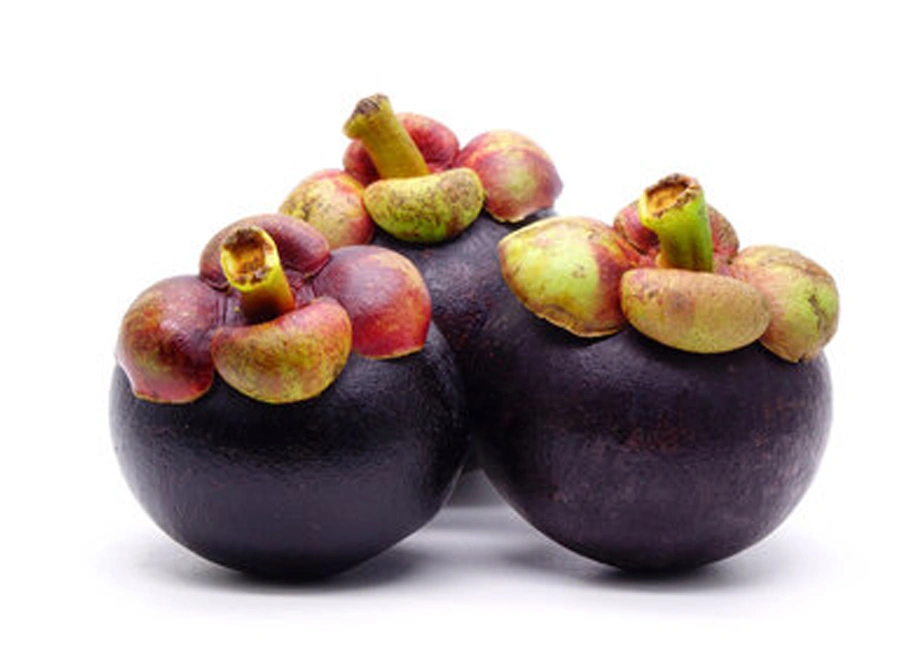 Mangosteen fresh quality product supplier Maldives