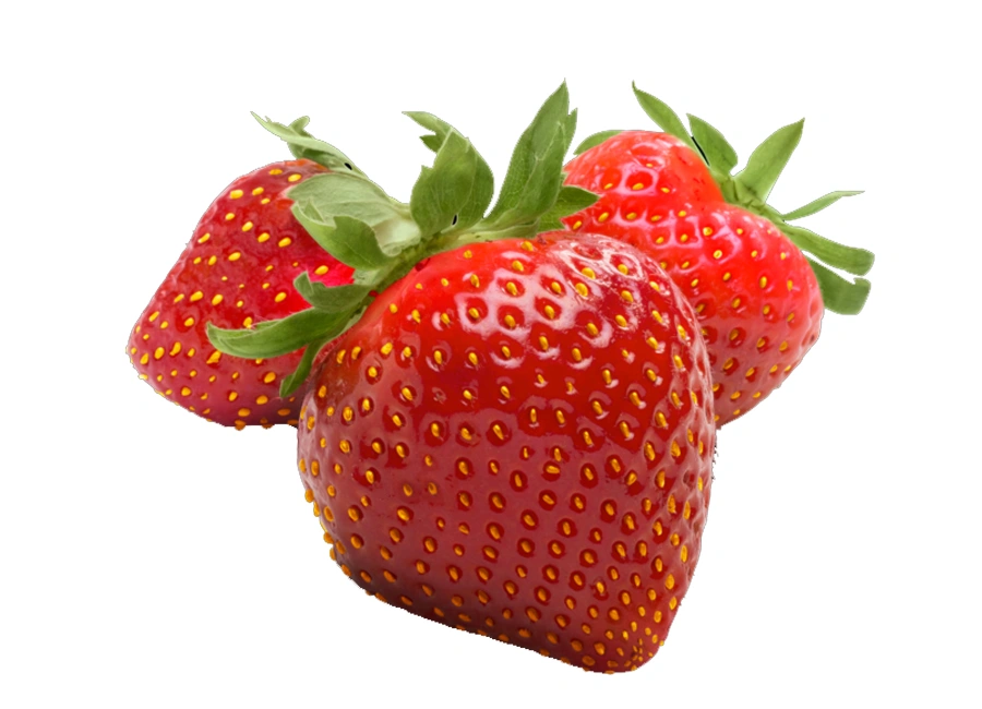 Strawberry fresh quality product supplier Maldives