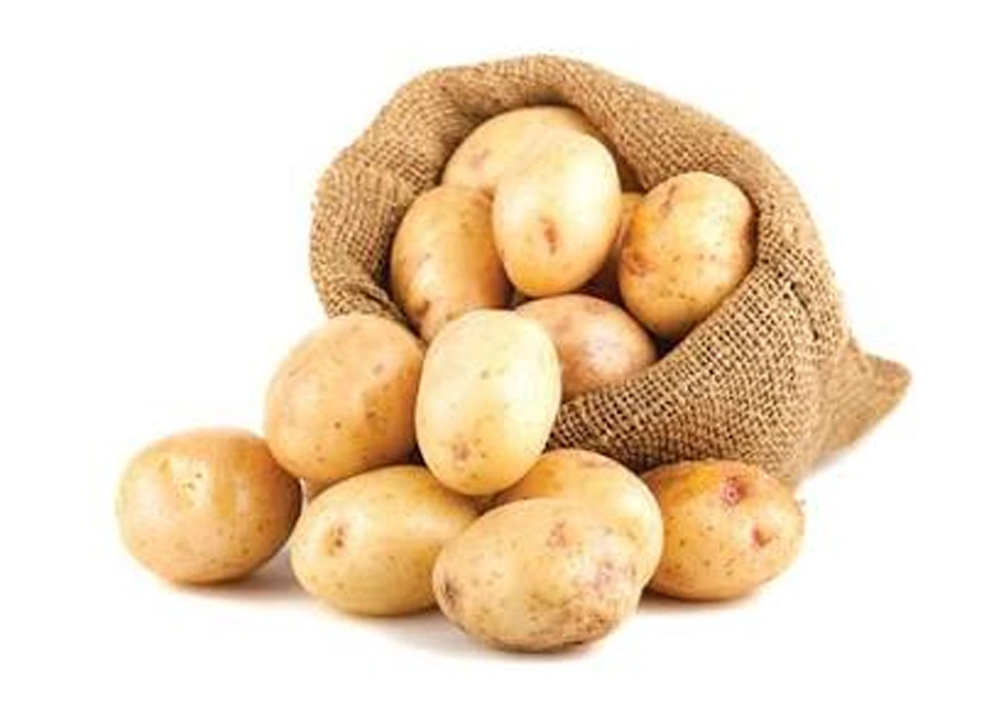 Potato Maldives supplier