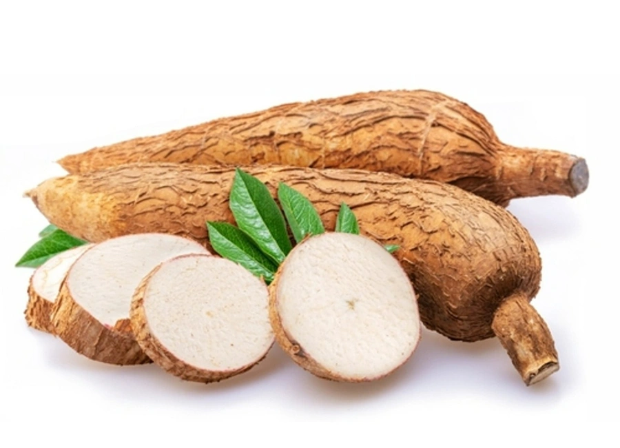 Ceylon Cassava Maldives supplier