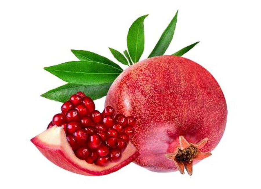 Pomegranate Maldives supplier